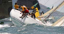 wpe8.jpg (6428 byte)